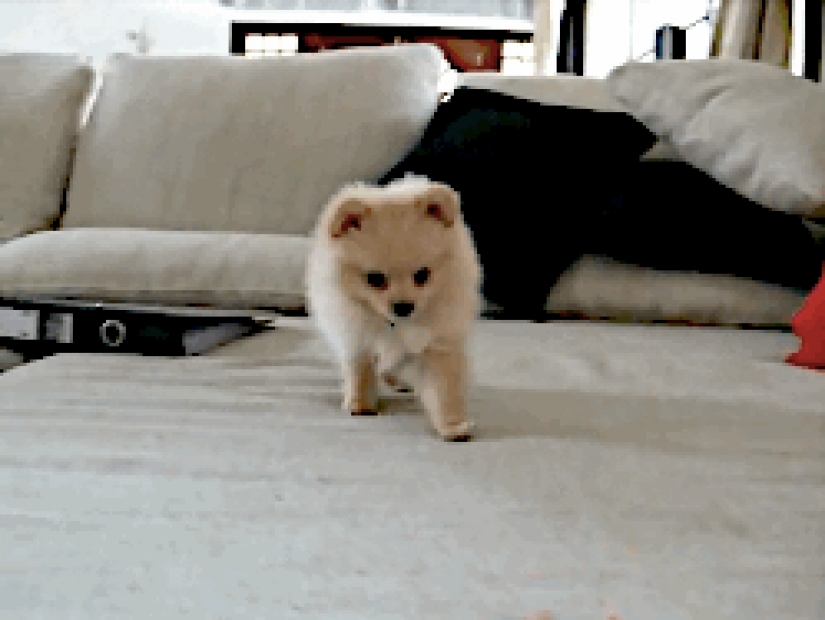 27 things that are better to do before going to bed than to be stupid in the series