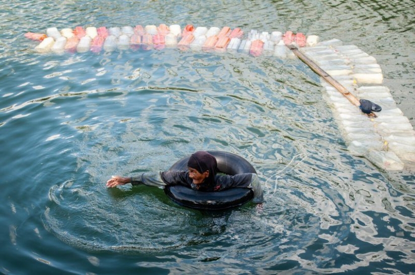 3 km swim overcome the 80-year-old woman with Sulawesi, to produce drinking water