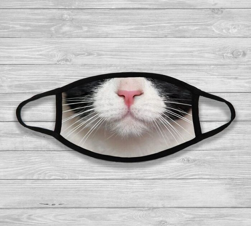 30 extrañas y divertidas máscaras protectoras para gatos 30 extrañas y divertidas máscaras protectoras para gatos