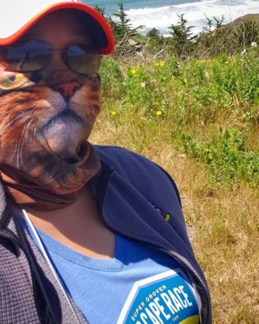 30 extrañas y divertidas máscaras protectoras para gatos 30 extrañas y divertidas máscaras protectoras para gatos