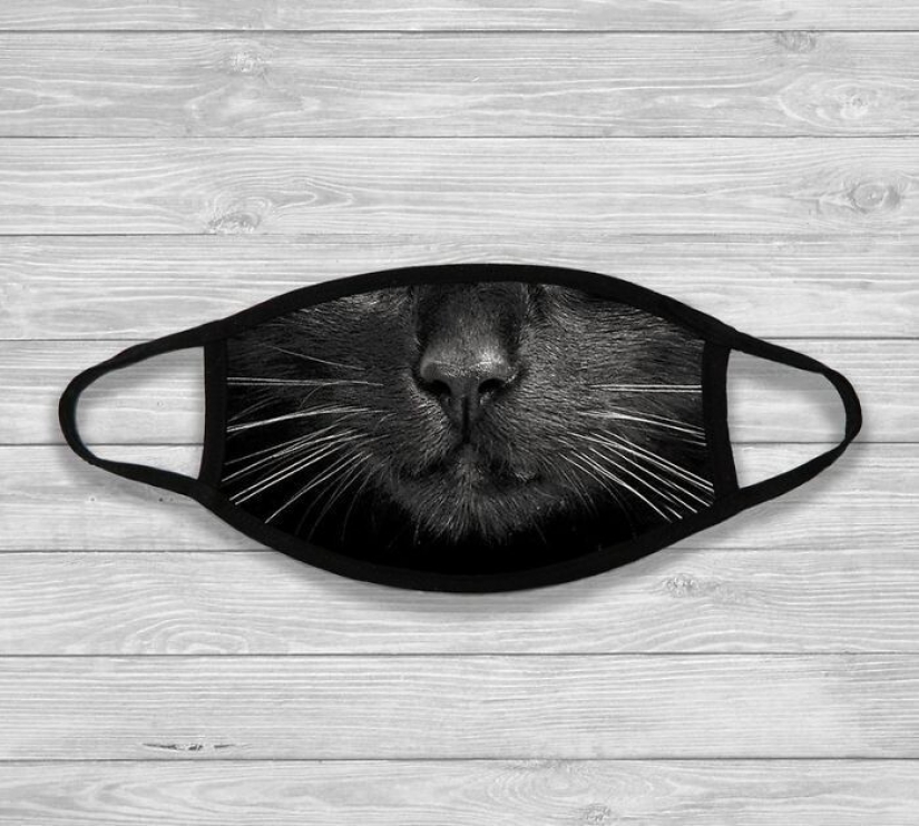 30 extrañas y divertidas máscaras protectoras para gatos 30 extrañas y divertidas máscaras protectoras para gatos