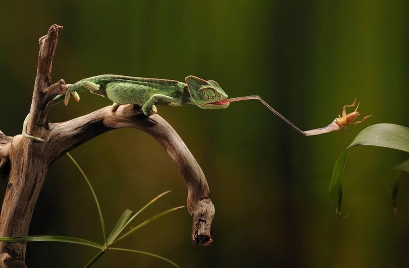 30 facts about which you probably did not know