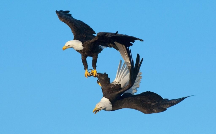 30 facts about which you probably did not know