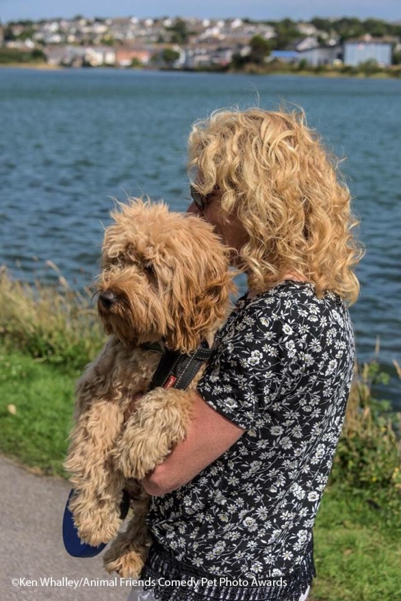 30 funny pictures of animals from the Comedy Pet Photo Awards 2021 30 funny pictures of animals from the Comedy Pet Photo Awards 2021