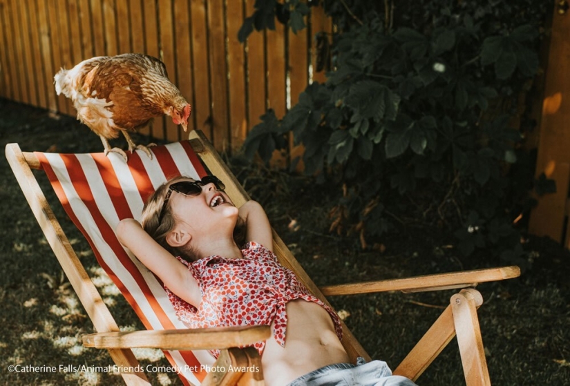 30 funny pictures of animals from the Comedy Pet Photo Awards 2021 30 funny pictures of animals from the Comedy Pet Photo Awards 2021