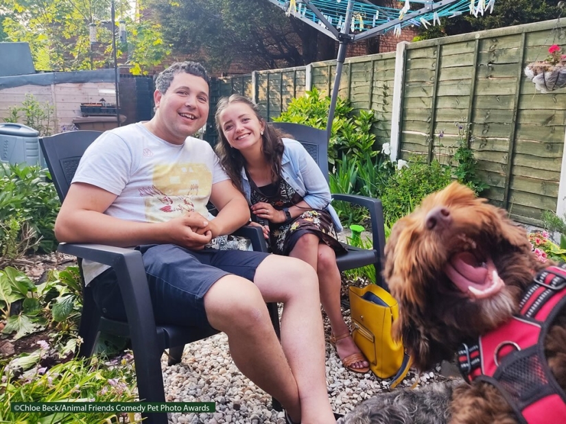 30 funny pictures of animals from the Comedy Pet Photo Awards 2021 30 funny pictures of animals from the Comedy Pet Photo Awards 2021