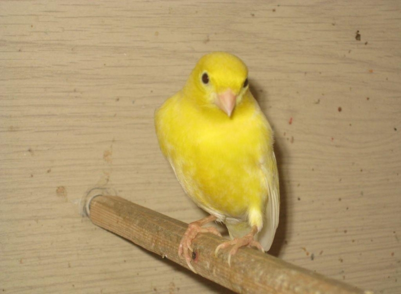 30 hechos acerca de los cuales probablemente no sabía 30 hechos acerca de los cuales probablemente no sabía