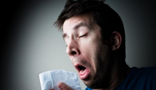 30 hechos acerca de los cuales probablemente no sabía