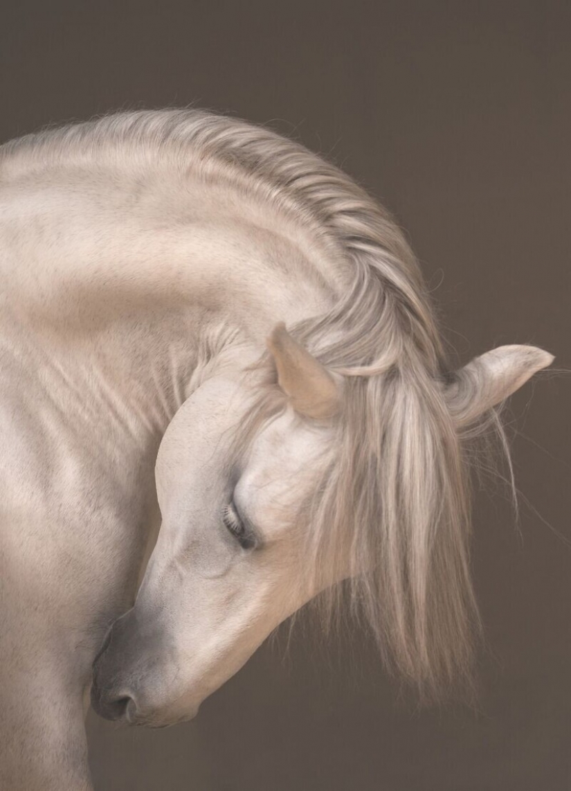 30 impresionantes imágenes muestran la grandeza de nuestra naturaleza