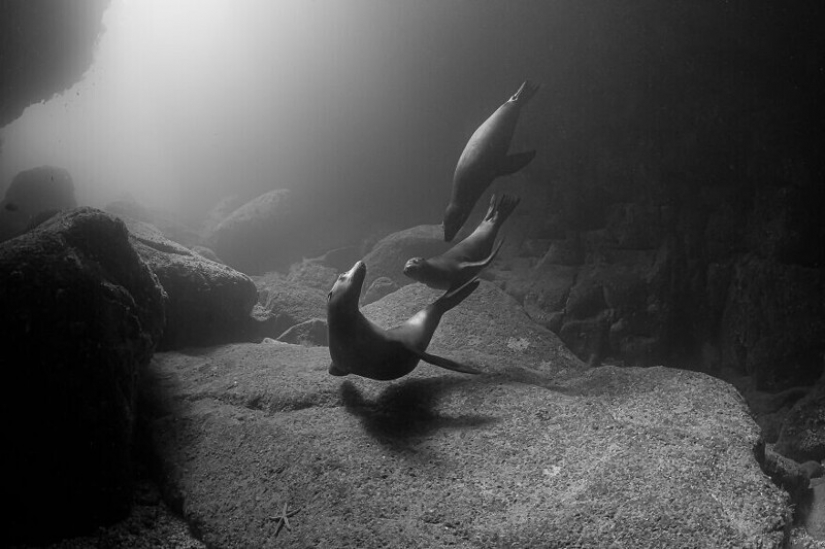 30 impresionantes imágenes muestran la grandeza de nuestra naturaleza