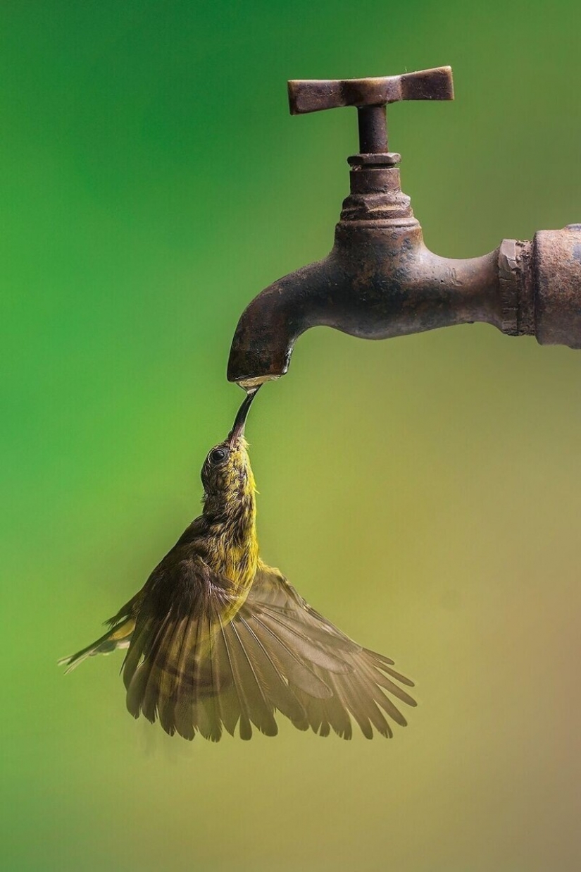 30 impresionantes imágenes muestran la grandeza de nuestra naturaleza