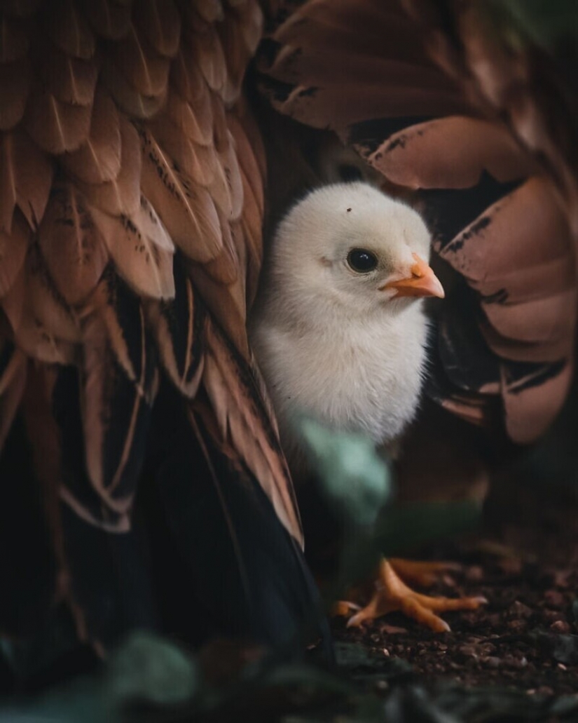 30 impresionantes imágenes muestran la grandeza de nuestra naturaleza