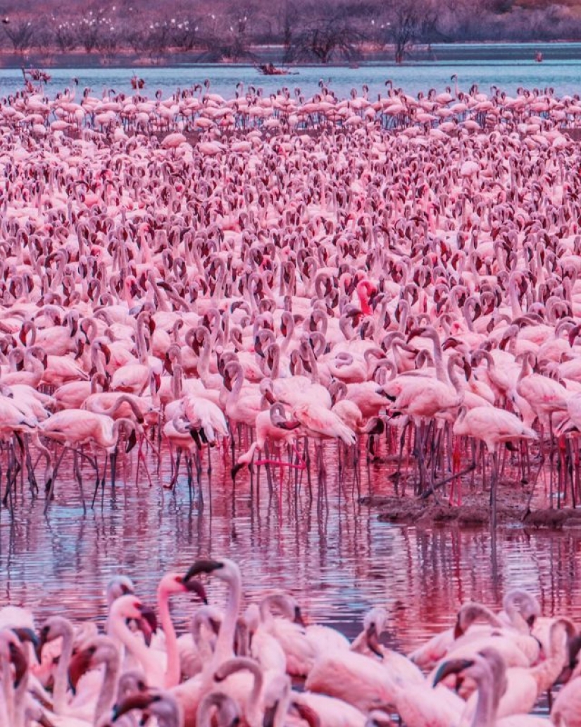 30 increíbles fotos de Christina Makeeva directamente desde Kenia