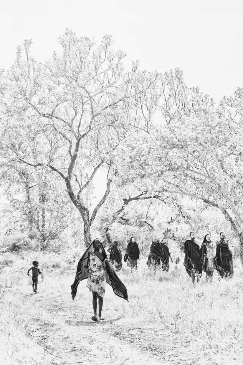 30 poderosas imágenes de la competencia de los Premios de Fotografía Sony 30 poderosas imágenes de la competencia de los Premios de Fotografía Sony