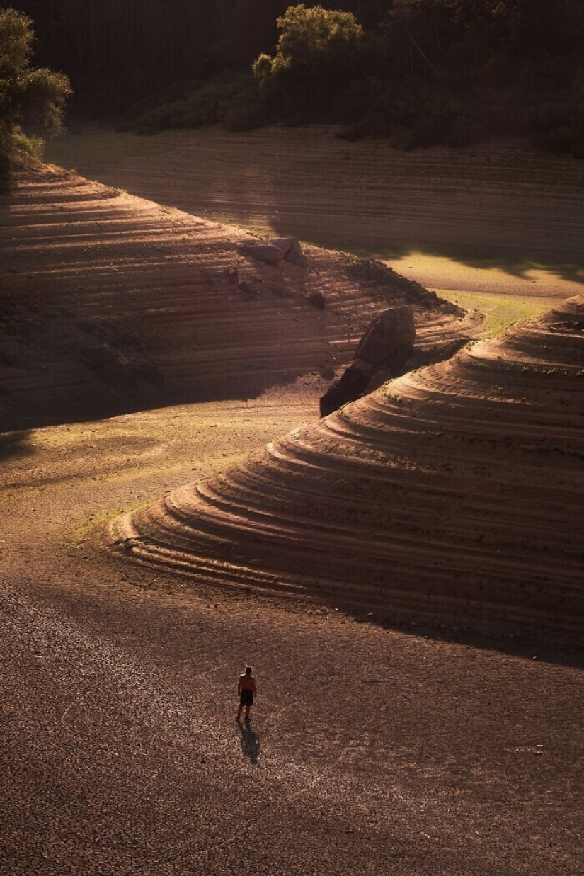 30 poderosas imágenes de la competencia de los Premios de Fotografía Sony 30 poderosas imágenes de la competencia de los Premios de Fotografía Sony