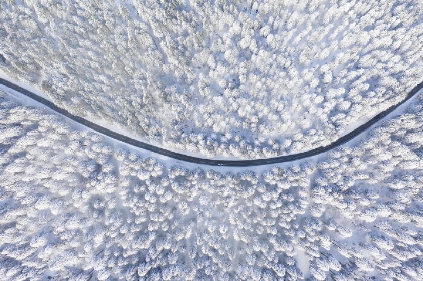 30 powerful images from the competition Sony Photography Awards