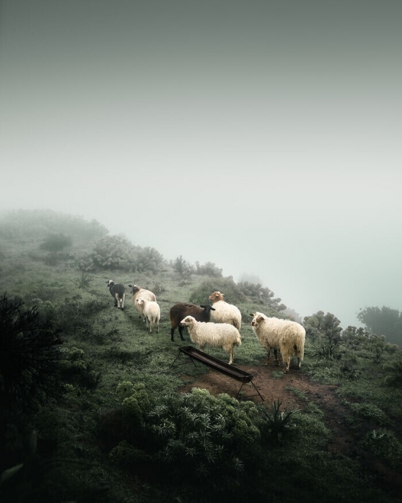 30 powerful images from the competition Sony Photography Awards