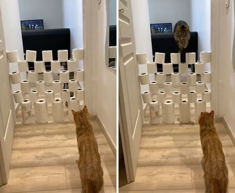 30 proyectos de las "manos hábiles" en cuarentena