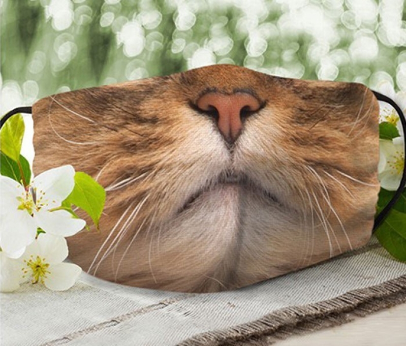 30 strange and funny protective masks for cat people 30 strange and funny protective masks for cat people