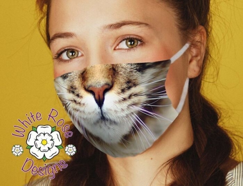 30 strange and funny protective masks for cat people 30 strange and funny protective masks for cat people