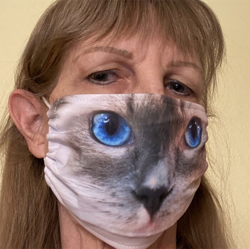 30 strange and funny protective masks for cat people 30 strange and funny protective masks for cat people