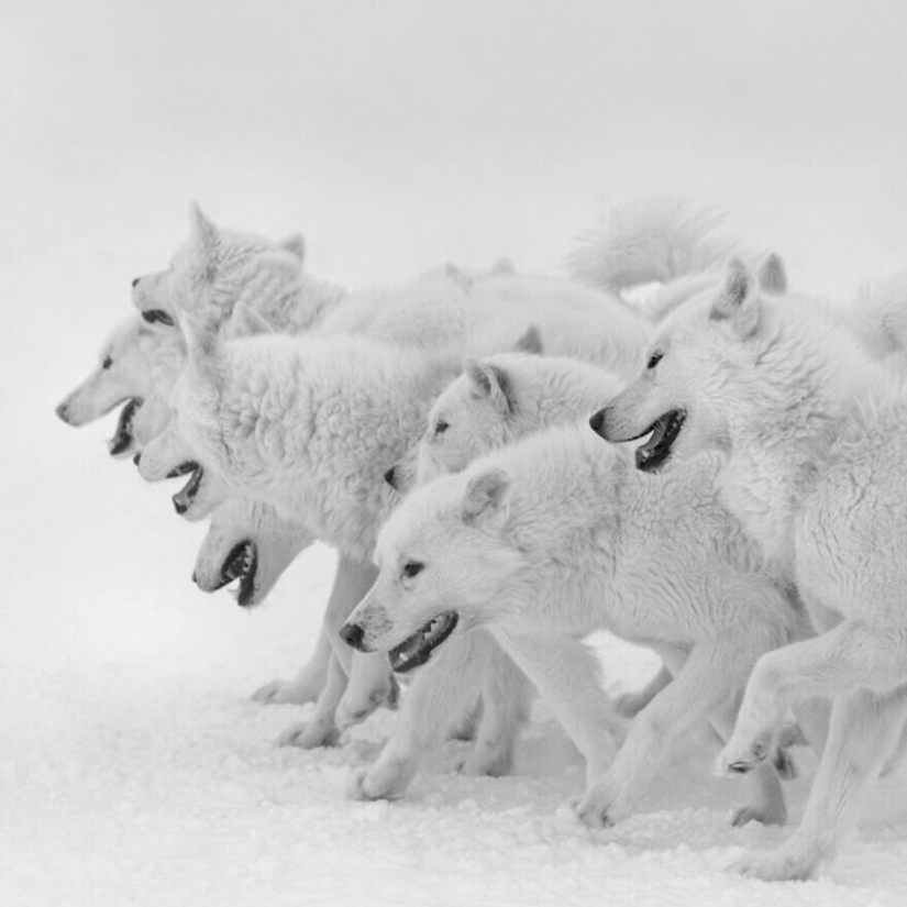 30 stunning pictures show the grandeur of our nature