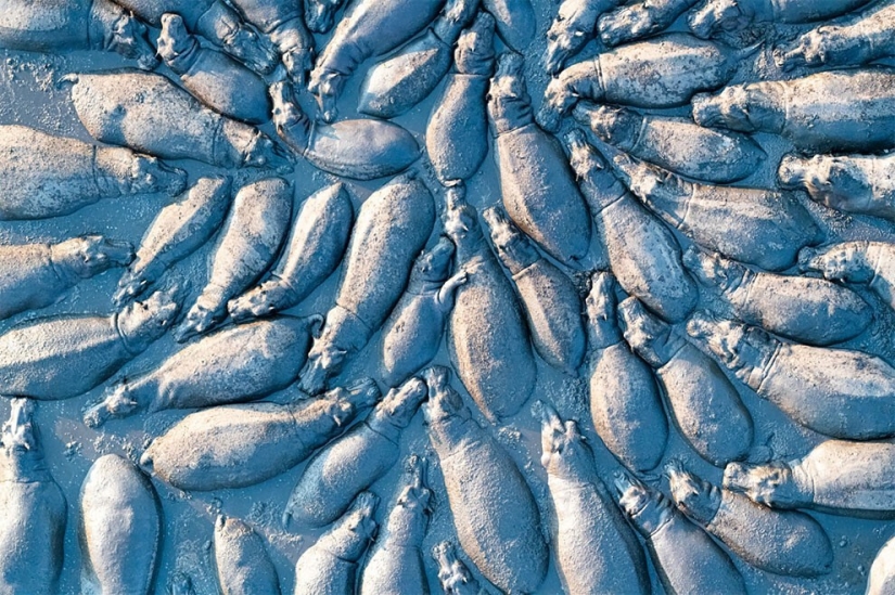 33 breathtaking drone photos from around the world