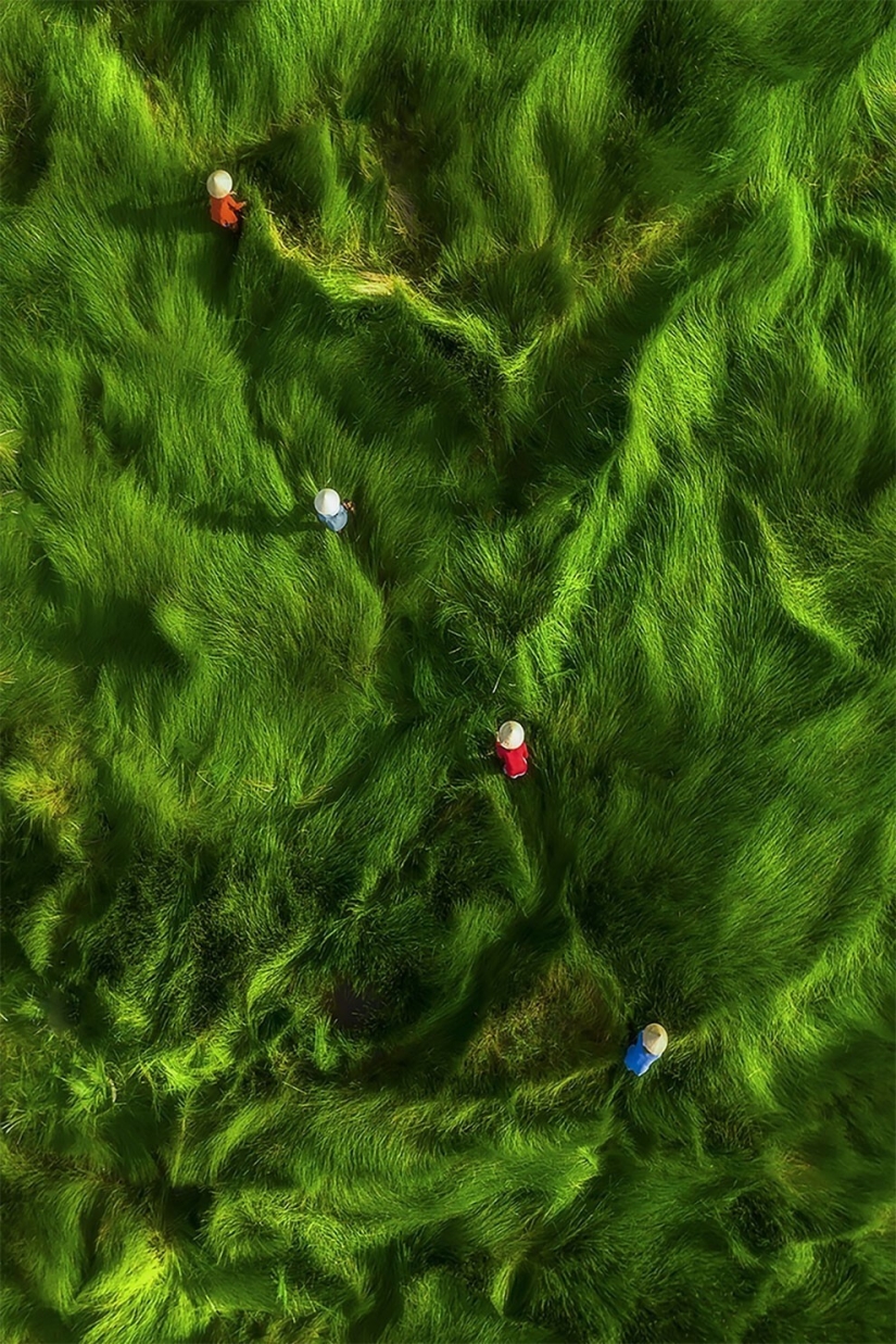 33 impresionantes fotos de drones de todo el mundo