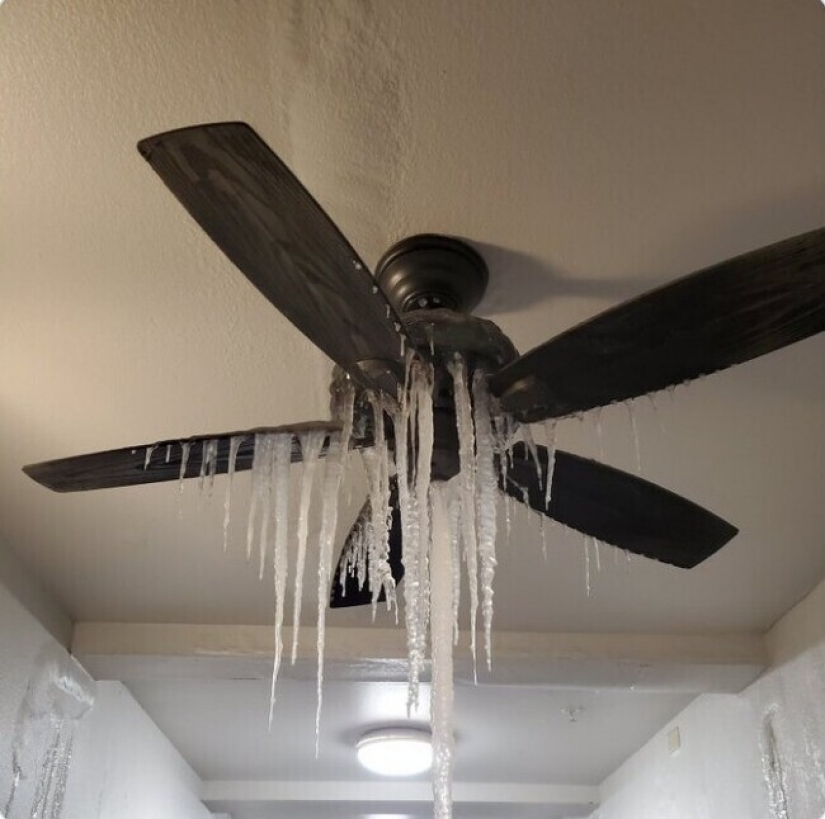 35 fotografías acerca de lo que está sucediendo ahora en el congelado de Texas