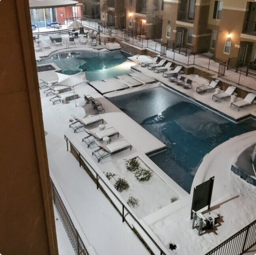 35 fotografías acerca de lo que está sucediendo ahora en el congelado de Texas