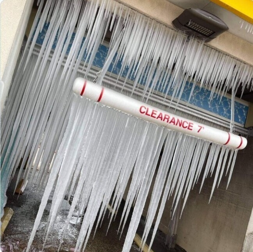 35 fotografías acerca de lo que está sucediendo ahora en el congelado de Texas