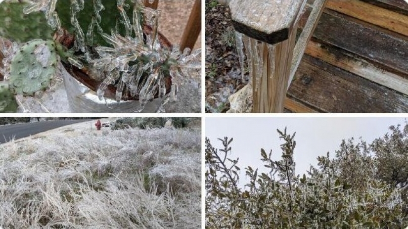 35 fotografías acerca de lo que está sucediendo ahora en el congelado de Texas