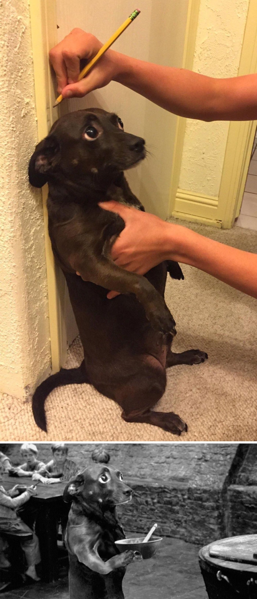 35 ganadores de la épica batalla de photoshop 35 ganadores de la épica batalla de photoshop