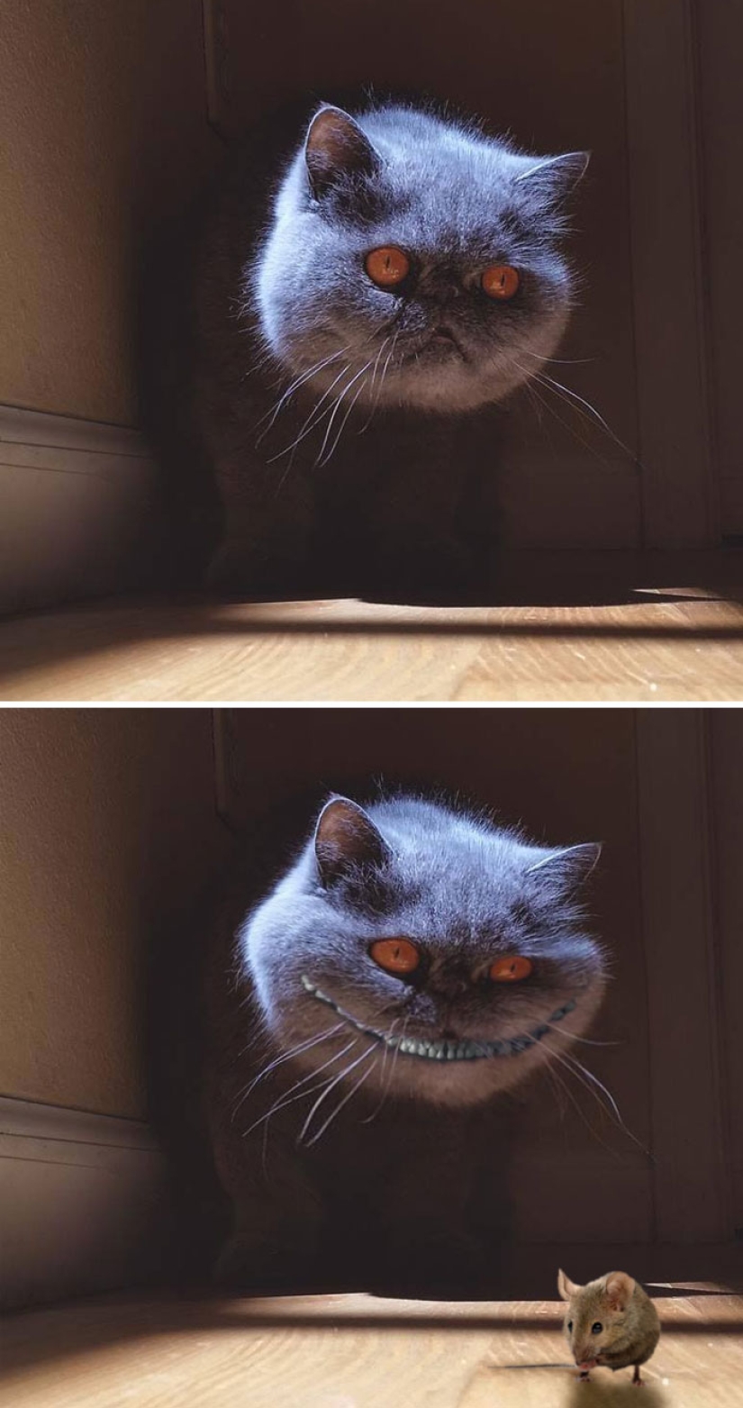 35 ganadores de la épica batalla de photoshop 35 ganadores de la épica batalla de photoshop