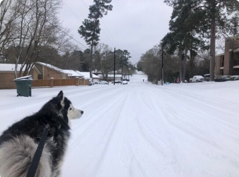 35 photographs about what is happening now in the frozen Texas