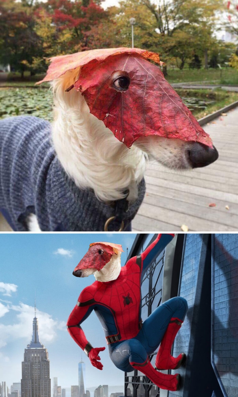 35 winners epic photoshop battle 35 winners epic photoshop battle