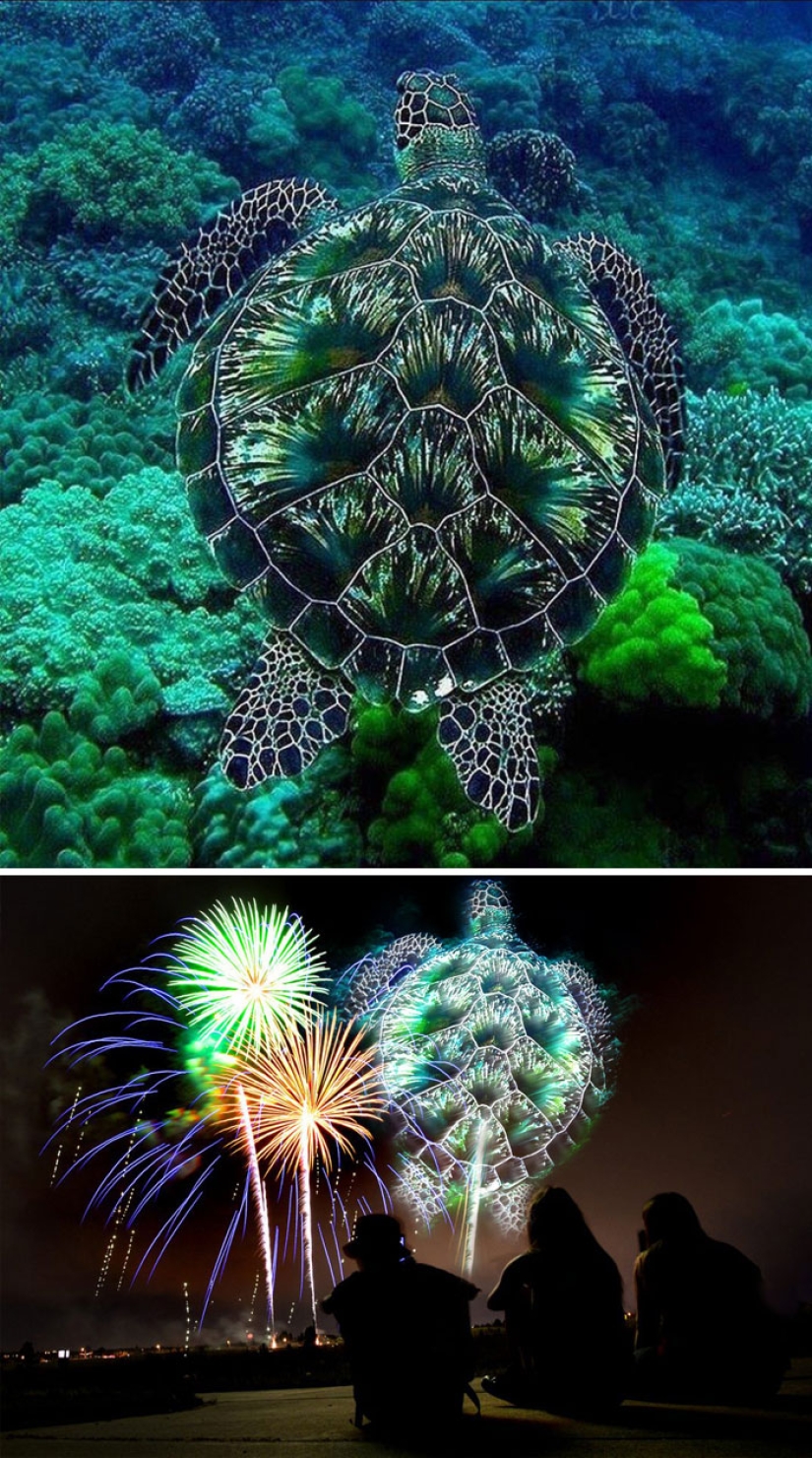 35 winners epic photoshop battle 35 winners epic photoshop battle