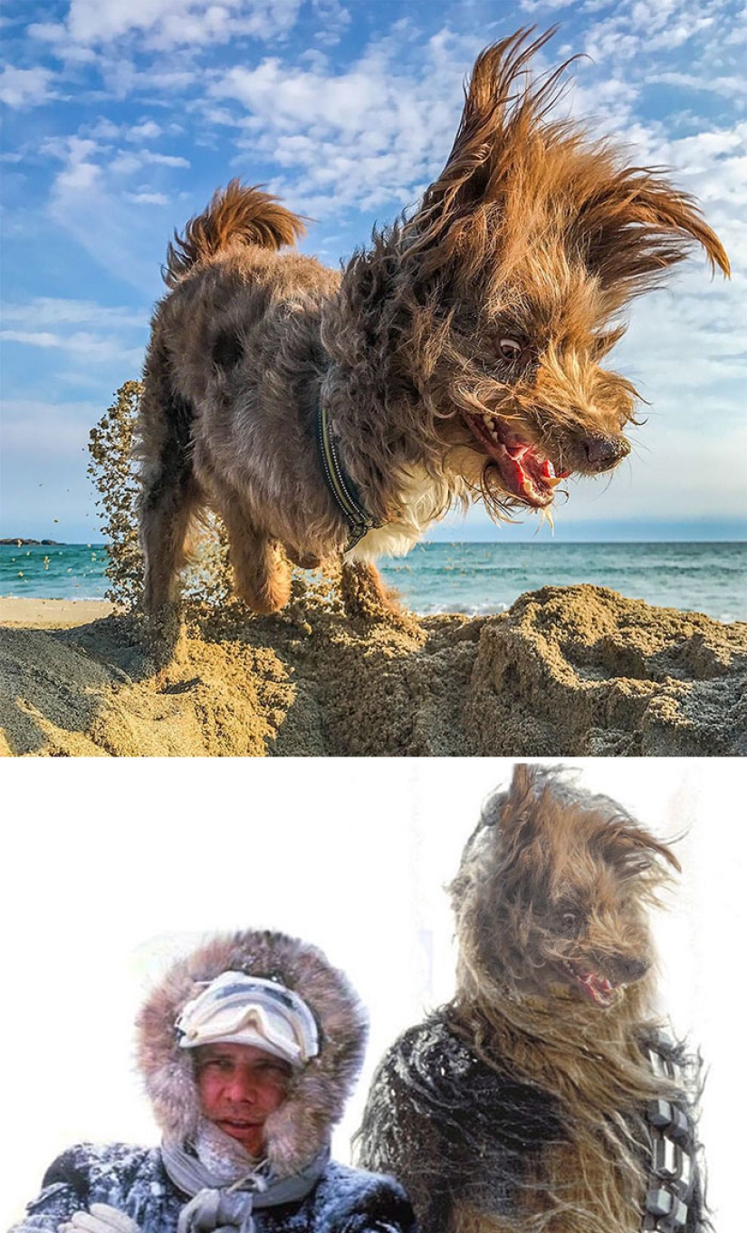 35 winners epic photoshop battle 35 winners epic photoshop battle