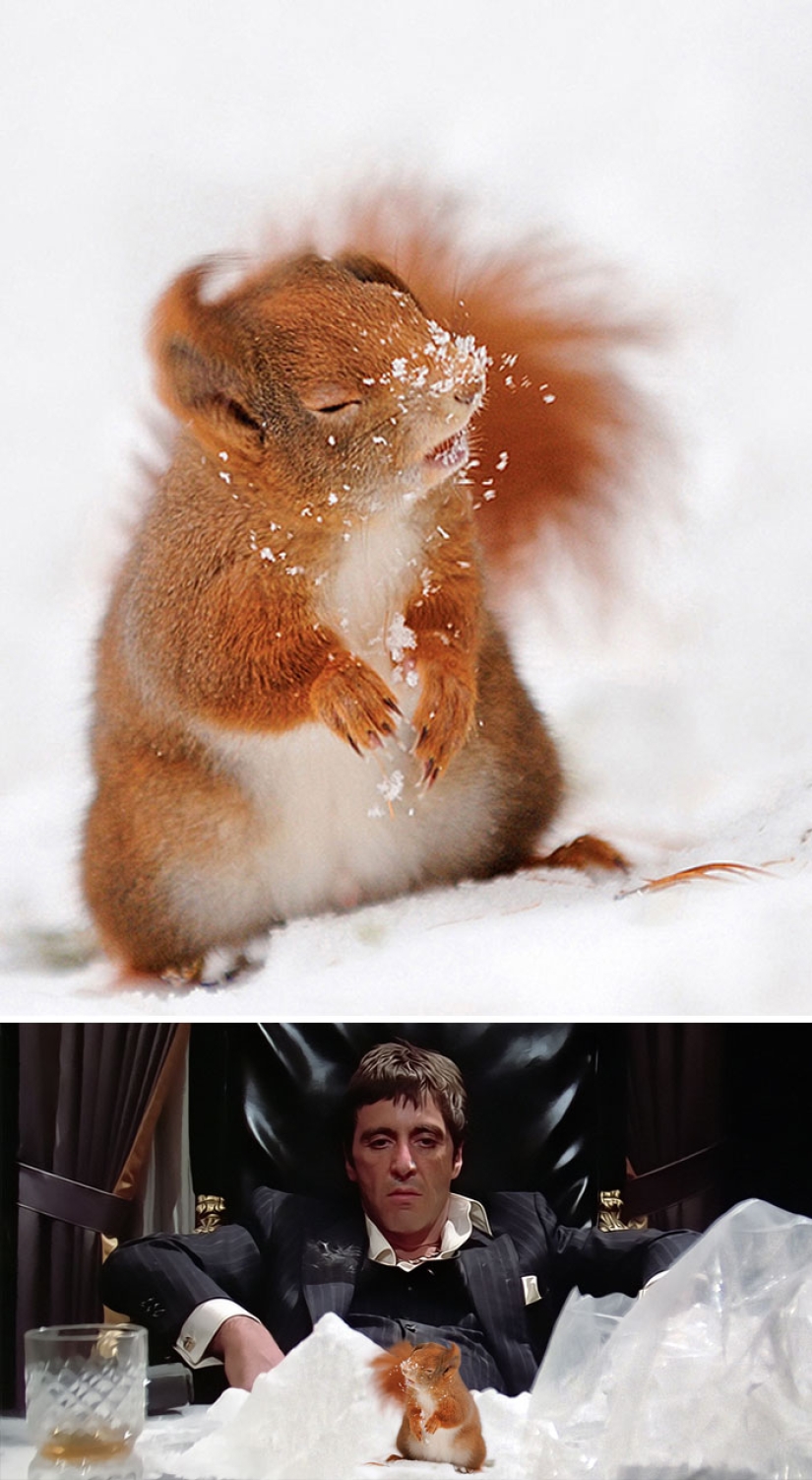 35 winners epic photoshop battle 35 winners epic photoshop battle