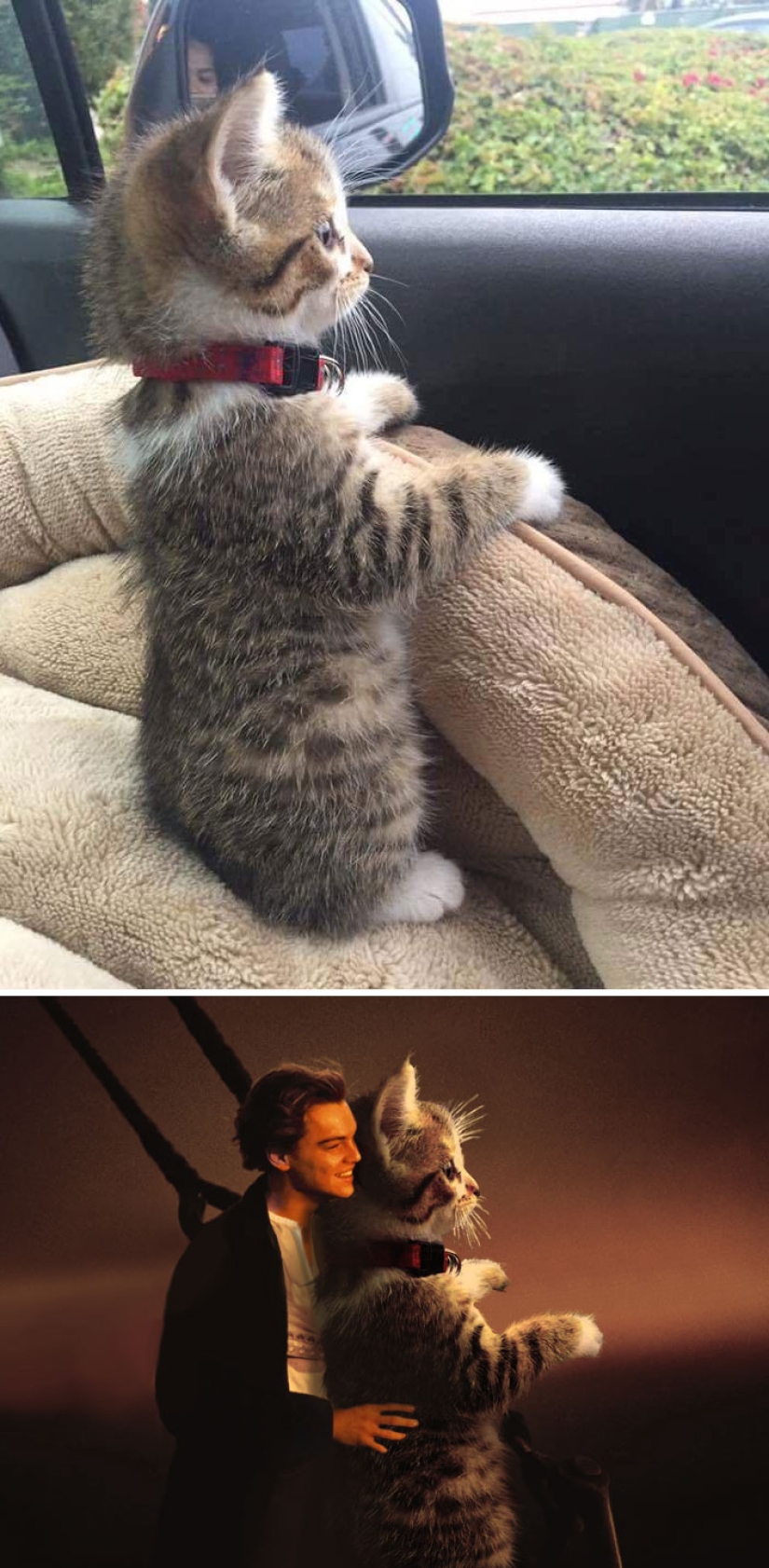 35 winners epic photoshop battle 35 winners epic photoshop battle