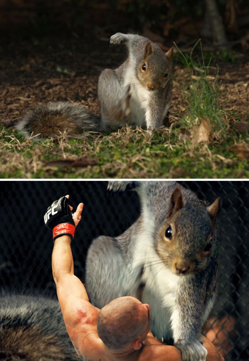 35 winners epic photoshop battle 35 winners epic photoshop battle