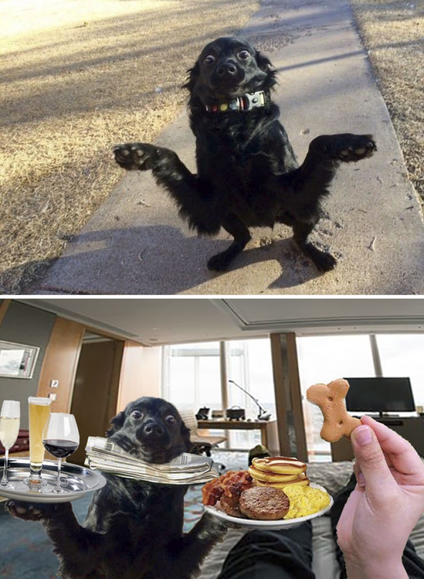 35 winners epic photoshop battle 35 winners epic photoshop battle