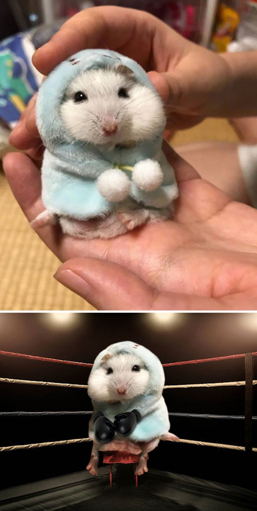 35 winners epic photoshop battle 35 winners epic photoshop battle