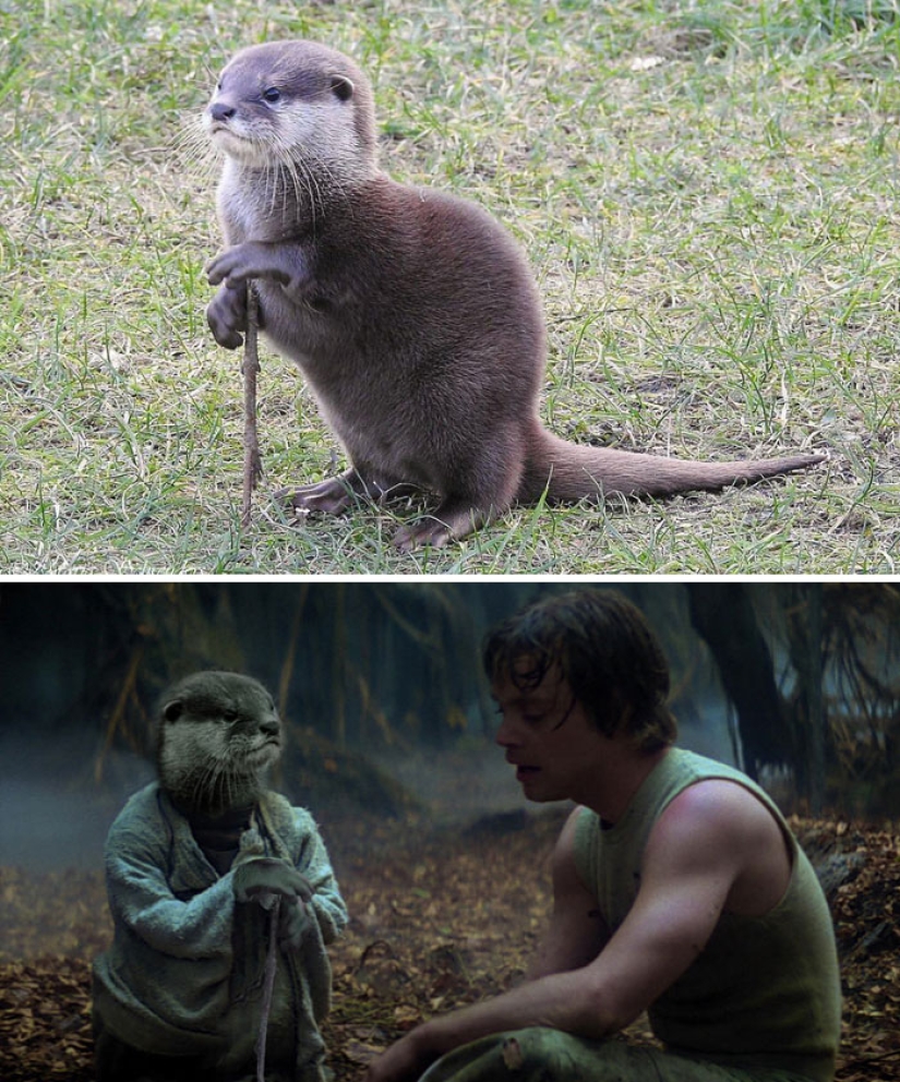 35 winners epic photoshop battle 35 winners epic photoshop battle