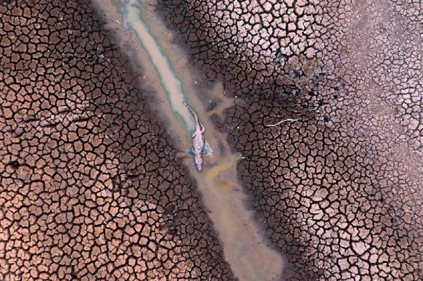 36 increíbles fotos de drones que muestran la diversidad de nuestro planeta durante la pandemia 36 increíbles fotos de drones que muestran la diversidad de nuestro planeta durante la pandemia