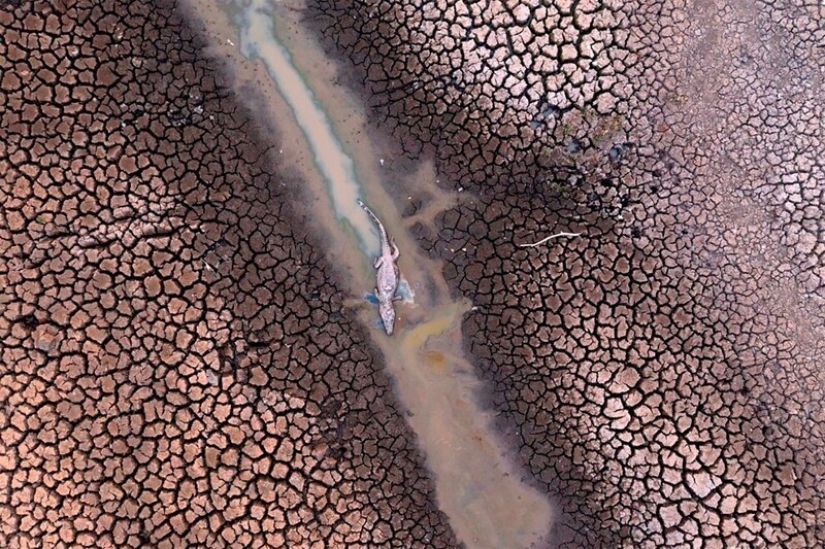 36 increíbles fotos de drones que muestran la diversidad de nuestro planeta durante la pandemia 36 increíbles fotos de drones que muestran la diversidad de nuestro planeta durante la pandemia