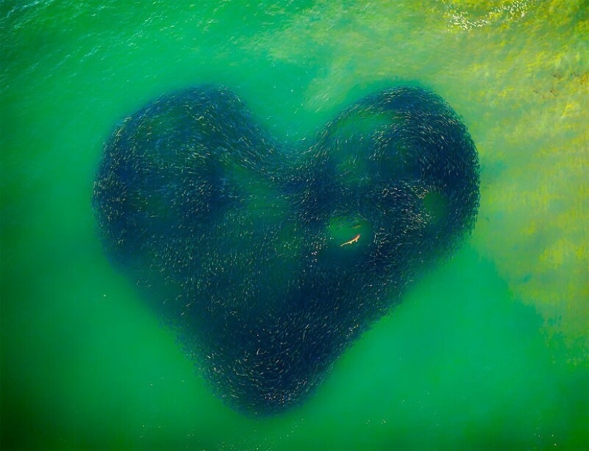 36 increíbles fotos de drones que muestran la diversidad de nuestro planeta durante la pandemia 36 increíbles fotos de drones que muestran la diversidad de nuestro planeta durante la pandemia