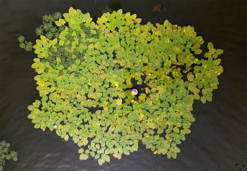 36 increíbles fotos de drones que muestran la diversidad de nuestro planeta durante la pandemia 36 increíbles fotos de drones que muestran la diversidad de nuestro planeta durante la pandemia