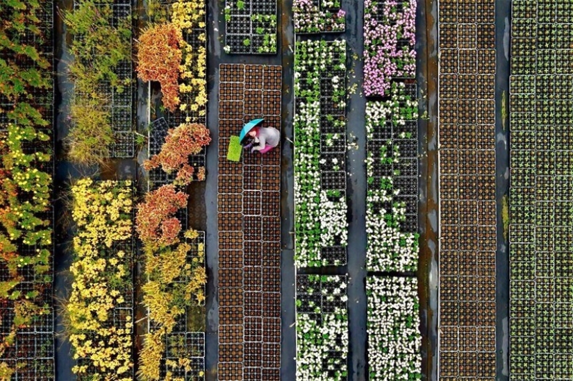 36 incredible drone photos showing the diversity of our planet during the pandemic 36 incredible drone photos showing the diversity of our planet during the pandemic