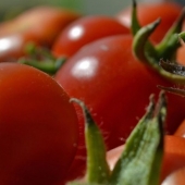 5 alimentos cancerígenos que debes evitar en tu dieta